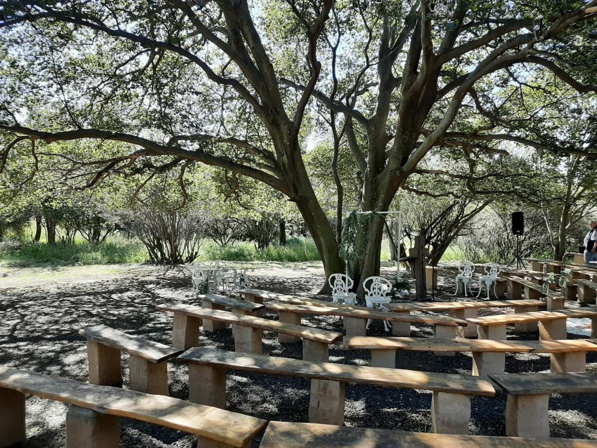 Imla Guest Farm Hotel Ficksburg Buitenkant foto